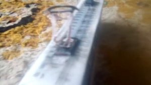 Бумажные трамваи (2019)