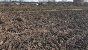 Схема посадки малины. Подготовка почвы под малину.