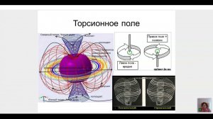 ШДР урок 20  Торсионные поля и квантовые законы сознания