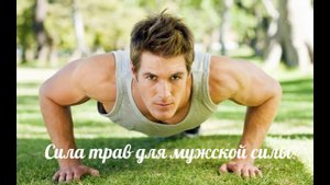 Народное средство для усиления потенции - сбор "Травы Кавказа" № 25