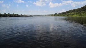 Ловля Жереха, Судака на ZipBaits Rigge 56 SP.  Звуки природы.