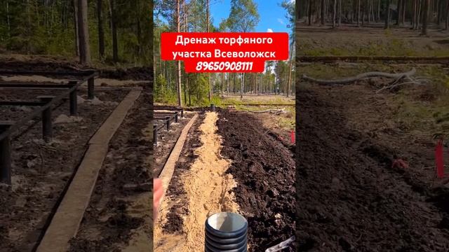 КУПИЛ ТОРФЯНОЙ УЧАСТОК. ДЕЛАЮ ДРЕНАЖ #дренаж #стройка #благоустройство #строительство #дачныйвлог