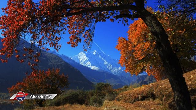 Lavender Cottage & Guest House | Skardu | Amazing 😻 | 2023 смотреть онлайн