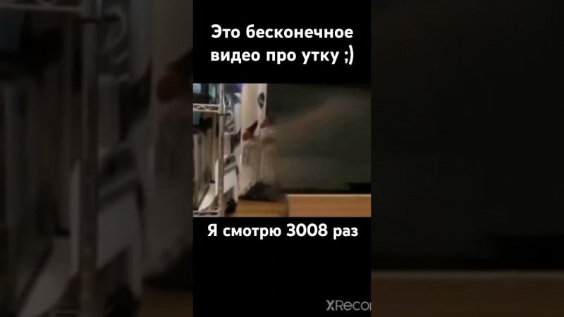 Бесконечное видео #утка #funny #memes #мем #shortvideo #shortsvideo #shorts