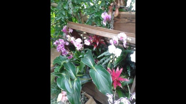 Kew Royal Botanic Gardens London 2014 смотреть онлайн