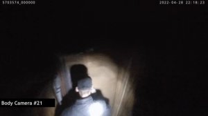 Задержание грабителей сотрудниками ЧОП и полиции