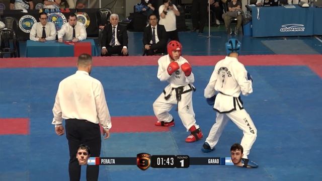 TAEKWON-DO ITF PRO FIGTHERS