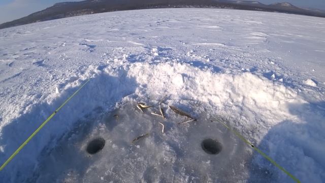 Рыбалка 2022, в Приморском крае. Песчаный, Южная сторона  (Береговое). Ловля наваги