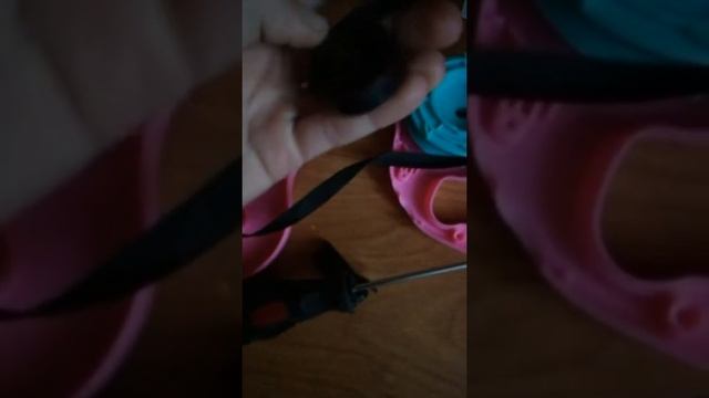 Что внутри рулетки для собак?