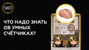 Украсть не получится. Что принесёт установка умных счётчиков?