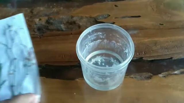 STEK MAWAR BABY ROSE DENGAN AIR BAWANG MERAH смотреть онлайн