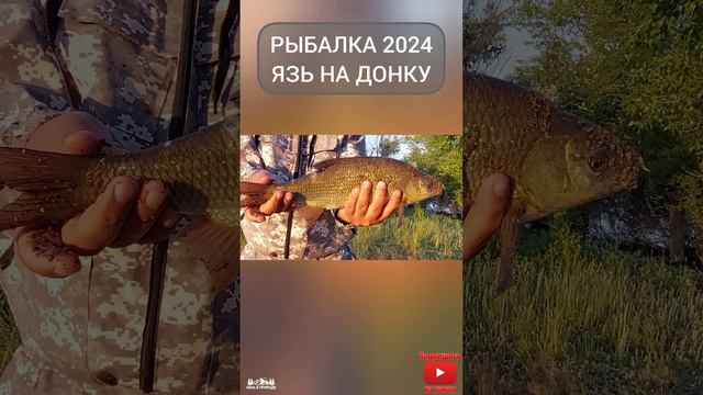 Рыбалка 2024 Рыбалка на донку ловля язя