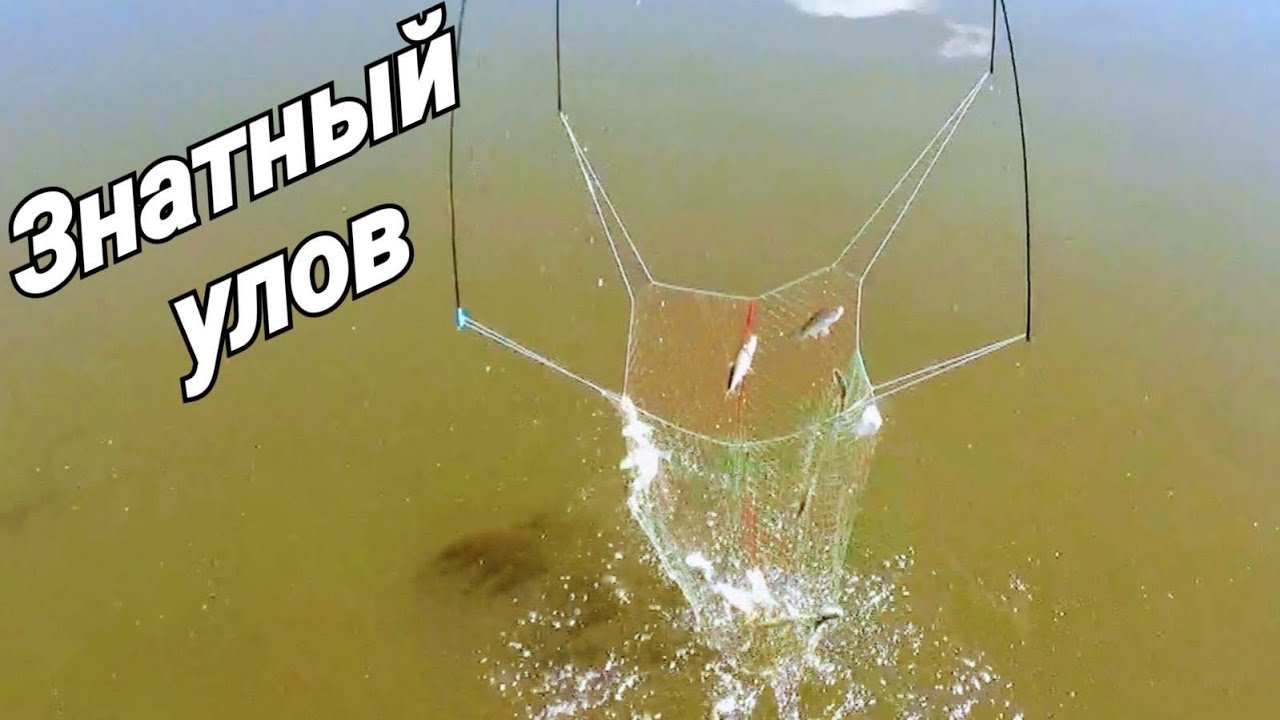 Рыбалка на паук! Ведро плотвы за час рыбалки! Легендарный мост вновь радует! смотреть онлайн