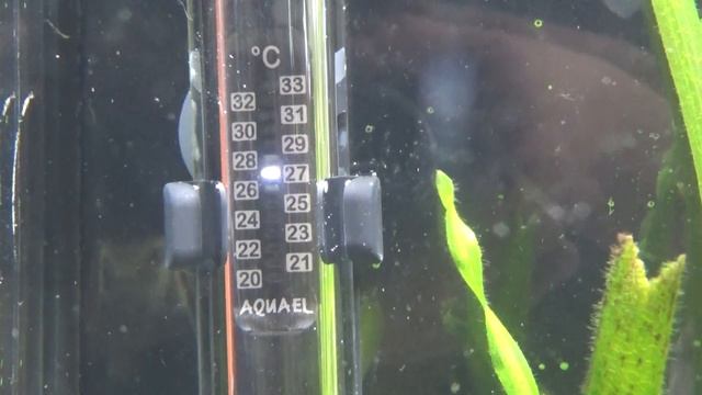 Обзор нагревателя Aquael Platinium смотреть онлайн