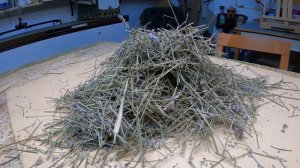 МЯГКАЯ ПОДУШКА из ЛАВАНДЫ! Как самому сделать ПОДУШКУ для СНА! Аромат ЛАВАНДЫ против БЕССОННИЦЫ!