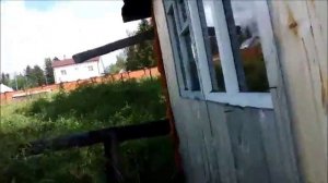 как травить ос дихлофосом, мой опыт