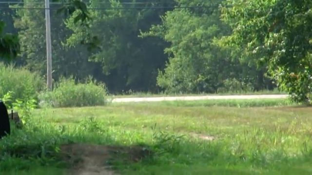 4 year old dirt bike rider Suzuki Jr. 50