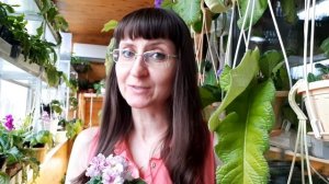 Стоит ли опрыскивать фиалку?