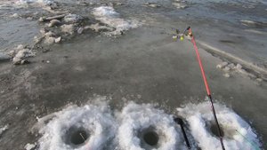 Рыбалка в Приморье. Река Петровка. Навага. 19.01.2019 г.