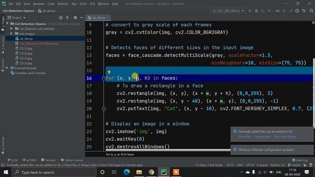 Cat Face Detection OpenCV Python | Python Project Development
