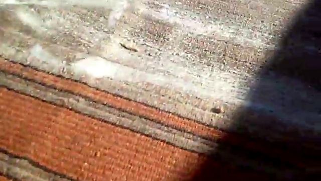 Как чистить ковер! смотреть онлайн