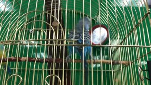 У КЕШИ в гостях ? ГБУЗ РБ Детская стоматологическая поликлиника № 7 г. Уфа