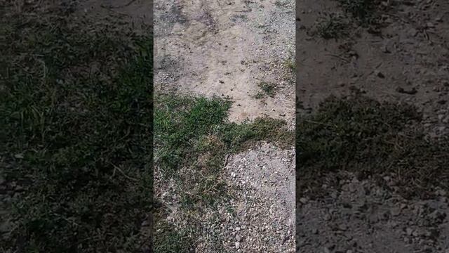 Установка бордюров своими руками от и до смотреть онлайн