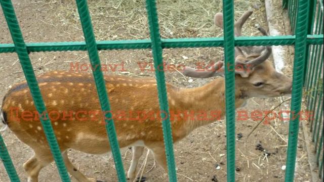 Роев Ручей 2012 смотреть онлайн