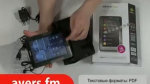 Электронная книга Wexler.Book T7006B