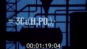 Фосфор и Фосфорные удобрения