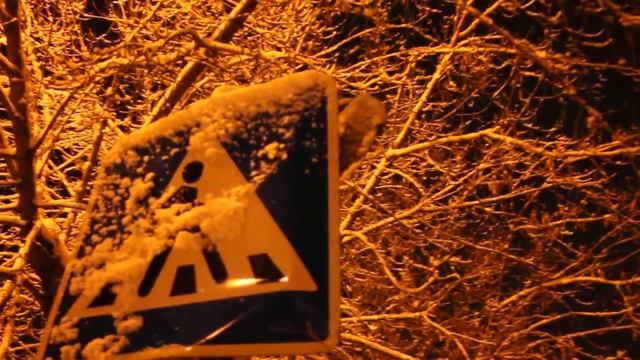 Знак Пешеходного перехода MVI 5960 смотреть онлайн