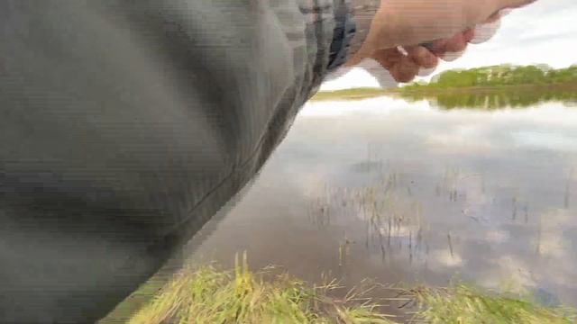 ГДЕ ИСКАТЬ ОКУНЯ | Как ловить на отводной поводок смотреть онлайн