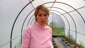 Почему клубника не цветёт? 3 причины отсутствия цветоносов у садовой земляники.