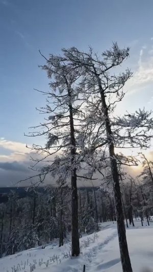 Сын побывал на горе́ Сугомак