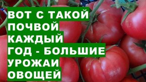 Как подготовить почву в теплице для богатого урожая овощей?How to prepare the soil in a greenhouse f