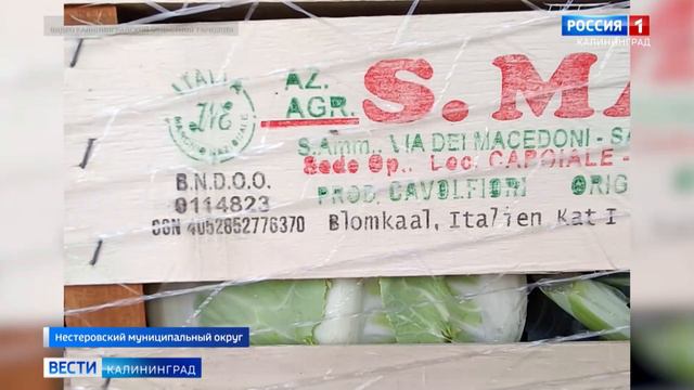 Калининградские таможенники изъяли из оборота продукцию  весом более 4,5 тонн