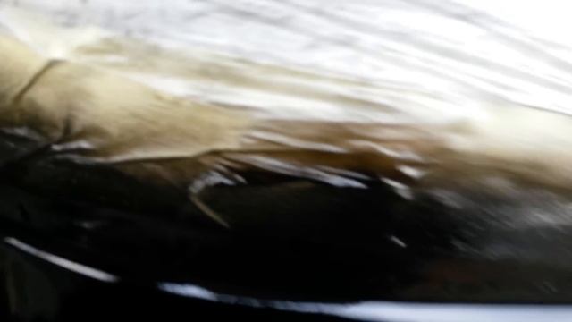 Покраска компрессором на 6 литров смотреть онлайн