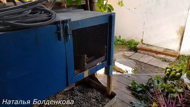 Луша собралась рожать,разбираемся с электричеством,собаки, кролики,пирог сыпучий по новому. смотреть онлайн