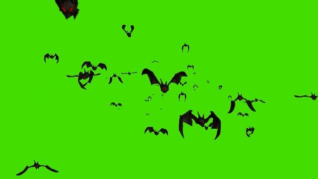 Летучие мыши | bats | Футажи для видео | хромакей | зеленый фон | green screen | ФутаЖОР