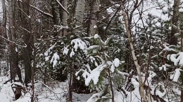 Зима пришла слишком рано...