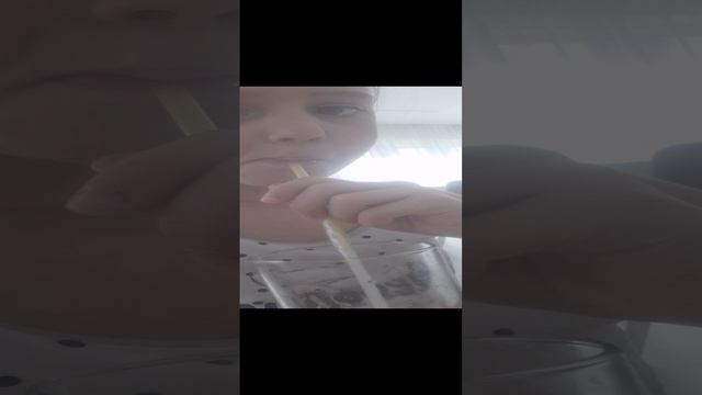 кактель🍹🍹🍹🍸🍸
