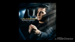 L' Algerino Miz'Amor Banderas  (DS les Bac Le 28.10.2016)