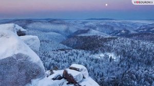 Таежная зона