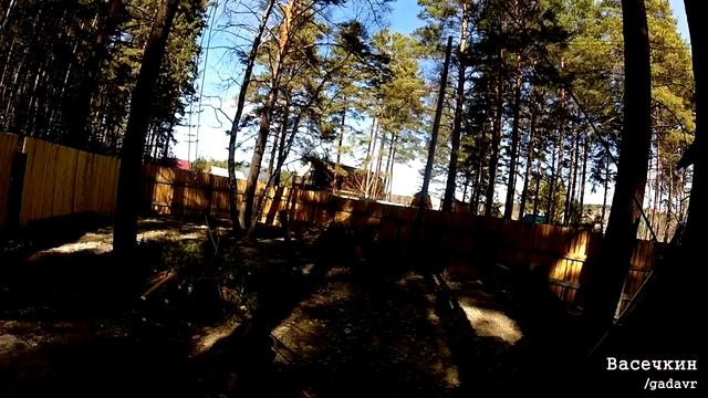 Пилим дерево сверху вниз