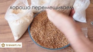Выращивание мицелий грибов на пшенице. Выращивание грибов Грибоводство малый бизнес идея ТРАВАРТ