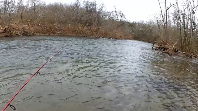 Float Rig vs Bottom Rig! Trout Fishing with Power Eggs & Gulp Worms смотреть онлайн
