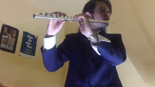 Luigi Boccherini Minuet from string quintet in E major flautista Jethro Martínez смотреть онлайн