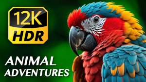 ПРИКЛЮЧЕНИЯ ЖИВОТНЫХ Удивительное Царство Животных 12K VIDEO ULTRA HD HDR (120 FPS) for 8K & 4K TVs