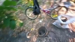 Медь , Латунь, Алюминий и Чермет с мд4030  в лесополосе.