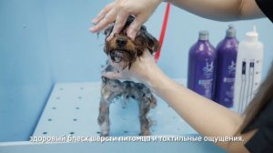 Люксовая косметика "HYDRA" | Косметика для собак и кошек